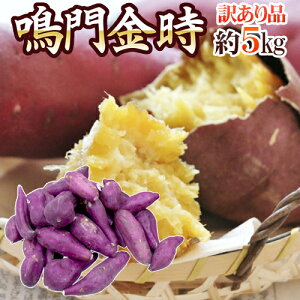 hY h 󂠂 5kg 傫܂ ܂y\ ׎攭z