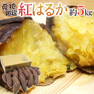 hg͂邩h Gi SEMELTCY 5kg YnI ܂ 