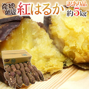 hg͂邩h 󂠂 SEMELTCY 5kg YnI ܂ 
