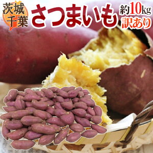 紅あずまの通販 価格比較 価格 Com
