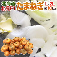 ”北海道 北見F1 たまねぎ” 秀品 約10kg 大玉L〜LLサイズ 玉葱【予約 8月末以降】 送料無料