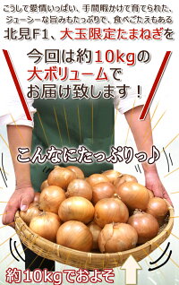 �̳�ƻ�̸�F1&rdquo;���ޤͤ�&rdquo;������10kg���L��LL��������Ǭ