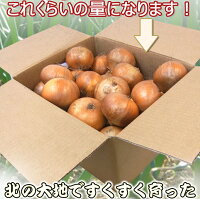 �̳�ƻ�̸�F1&rdquo;���ޤͤ�&rdquo;������10kg���L��LL��������Ǭ