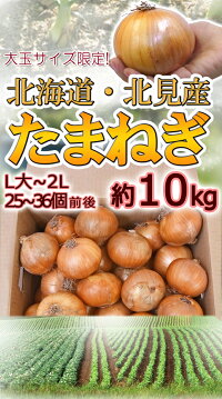 �̳�ƻ�̸�F1&rdquo;���ޤͤ�&rdquo;������10kg���L��LL��������Ǭ