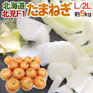 ”北海道 北見F1 たまねぎ” 秀品 約5kg 大玉L〜LLサイズ 玉葱【予約 8月末以降】 送料無料