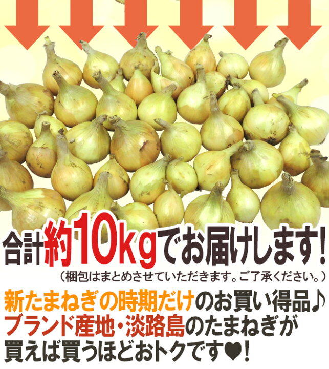 北海道 北見f1 たまねぎ 秀品 約10kg 大玉l Llサイズ 玉葱 予約 8月末以降 送料無料 5 大好評