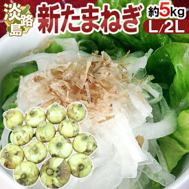 兵庫県 淡路島産 ”新たまねぎ” 秀品 L/2L 約5kg【予約 4月末以降】 送料無料