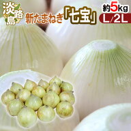 ”兵庫県 淡路島産 新たまねぎ 七宝” 秀品 L/2L 約5kg【予約 5月中旬以降】 送料無料