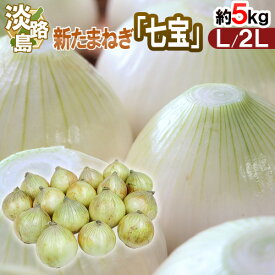 兵庫県 淡路島産 ”新たまねぎ 七宝” 秀品 L/2L 約5kg【予約 5月中旬以降】 送料無料