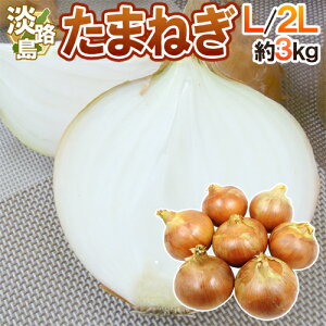 hɌ WHY ܂˂h Gi L/2L 3kgs2Zbgw4kg܂10kgł͂ty\ ׎攭z 