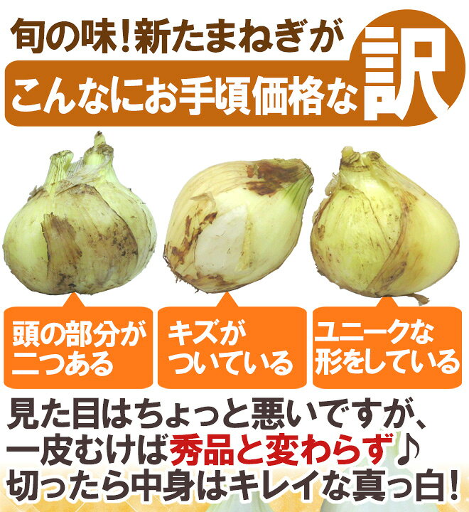 楽天市場】”新たまねぎ” 訳あり 約20kg 九州・四国・淡路・北海道 産地 