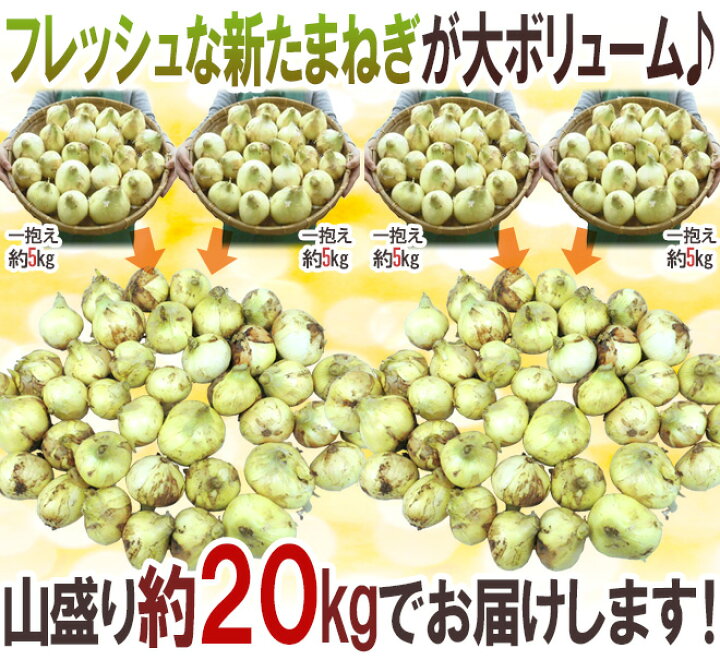 楽天市場】”新たまねぎ” 訳あり 約20kg 九州・四国・淡路・北海道 産地 