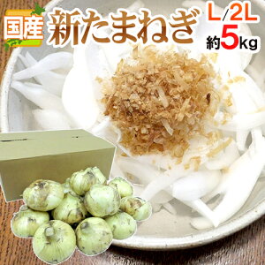 �h�V���܂˂��h �G�i L/2L�T�C�Y ��5kg ��B�E�l���E�W�H�E�k�C�� �Y�n���I�y�\�� 3�����{�ȍ~�z ��������