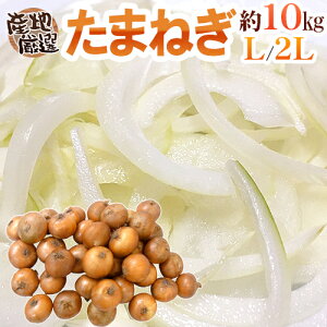 h܂˂h Gi L/2LTCY 10kg BElEWHEkC YnIy\ ׎攭z 