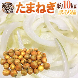 ”たまねぎ” 訳あり 約10kg 九州・四国・淡路・北海道 産地厳選【予約 入荷次第発送】 送料無料