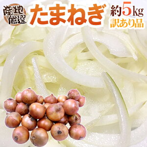 y9/10ISz|CgobN̑`Xzh܂˂h 󂠂 5kg BElEWHEkC YnIy\ ׎攭z 