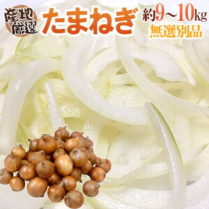 h܂˂h 󂠂 9`10kg 傫܂ iȂ BElEWHEkC YnI y\ ׎攭z 