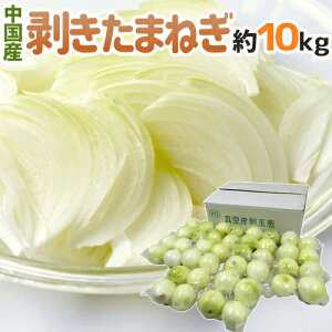 ^pbN hY ܂˂h 10kg 傫܂