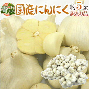 ”青森県 国産にんにく” 約5kg 大きさおまかせ 送料無料