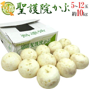 s{ h@Ԃh 5`12 10kgy\ 11{ȍ~z 