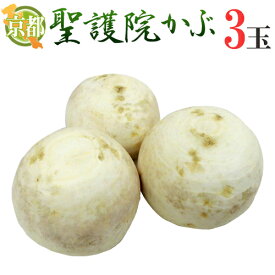 楽天市場 かぶ その他野菜 野菜 きのこ 食品の通販