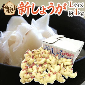 和歌山県産 ”新しょうが” 秀品 Lサイズ 約4kg【予約 6月下旬以降】 送料無料