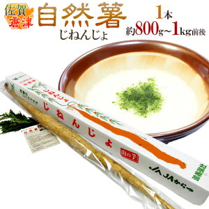  JA hRi˂񂶂jh 1{ 800g`1kgO Ry\ 12{ȍ~z 