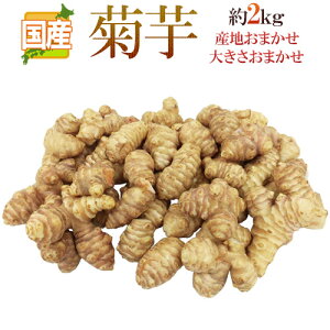 heh 2kg 傫܂ YnI LNCy\ 11ȍ~z 