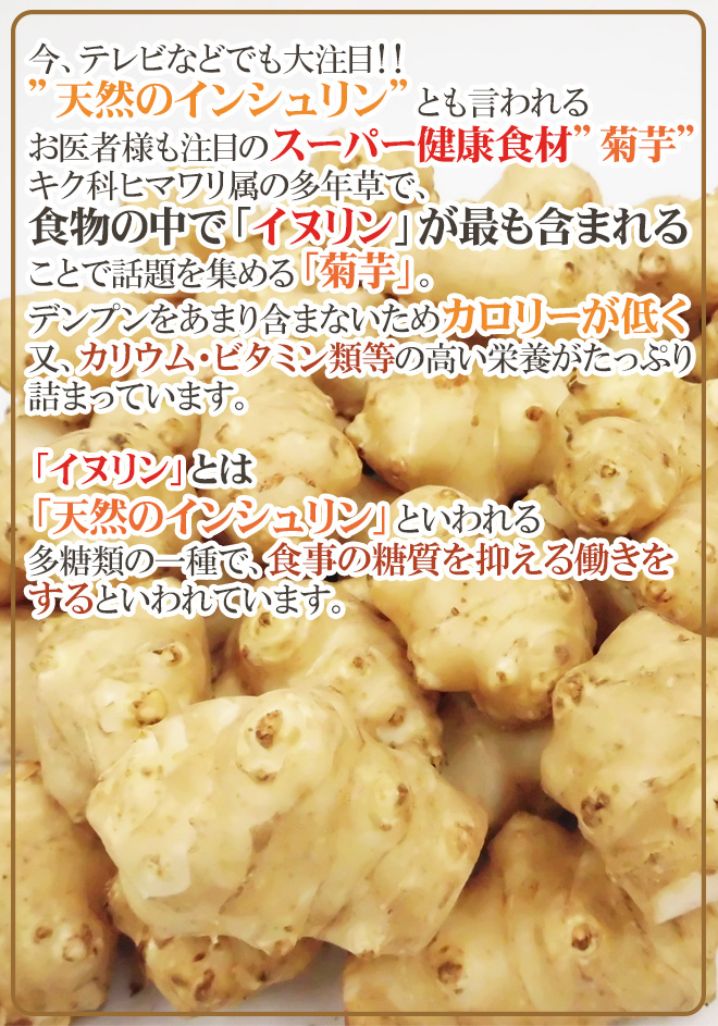 現金特価 ”菊芋” 約2kg 大きさおまかせ 産地厳選 キクイモ 送料無料 