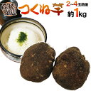 産地厳選 ”つくね芋・山の芋” 2〜4玉前後 約1kg 山芋/大和芋/やまいも【予約 11月以降】 送料無料