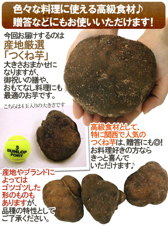 楽天市場】産地厳選 ”つくね芋・山の芋” 4〜8玉前後 約2kg 山芋/大和芋/やまいも【予約 11月以降】 送料無料 : くらし快援隊〜お中元お歳暮ギフト 楽天市場】産地厳選 ”つくね芋・山の芋” 4〜8玉前後 約2kg 山芋/大和芋/やまいも【予約 11月以降】 送料無料 : くらし快援隊〜お中元お歳暮ギフト