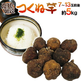 産地厳選 ”つくね芋・山の芋” 7〜13玉前後 約5kg 山芋/大和芋/やまいも【予約 11月以降】 送料無料