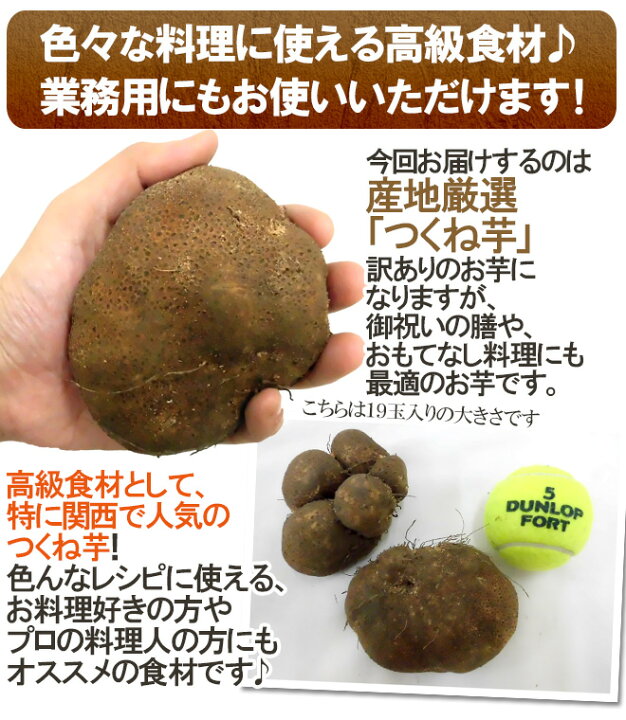 楽天市場】産地厳選 ”つくね芋・山の芋” 訳あり 約5kg 大きさおまかせ 山芋/大和芋/やまいも【予約 11月以降】 送料無料 : くらし快援隊〜お中元お歳暮ギフト 楽天市場】産地厳選 ”つくね芋・山の芋” 訳あり 約5kg 大きさおまかせ 山芋/大和芋/やまいも【予約 11月以降】 送料無料 : くらし快援隊〜お中元お歳暮ギフト