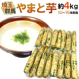 群馬・埼玉 ”やまと芋” 10〜16本前後 約4kg やまといも/山芋/長芋 送料無料