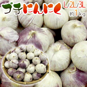 hv`ɂɂh L/2L/3L 1kg 