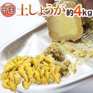 hY y傤h 4kg IIyI/VI/ЂːI/ÍVEK