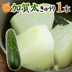 ������ �h�ΐ쌧 ���ꑾ���イ��h 1�{�y�\�� 5���ȍ~�z