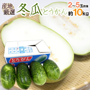 y9/25ISz|CgobN̑`Xzh~ZiƂjh 2`5ʑO 10kg gEK/ΉZy\ ׎攭z 