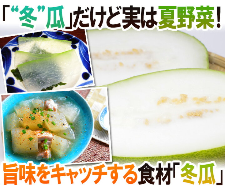 楽天市場 冬瓜 とうがん 1玉 約2kg以上 トウガン 加茂瓜 予約 入荷次第発送 くらし快援隊 お中元お歳暮ギフト