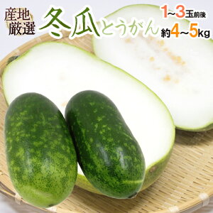 冬瓜 野菜 きのこの通販 価格比較 価格 Com