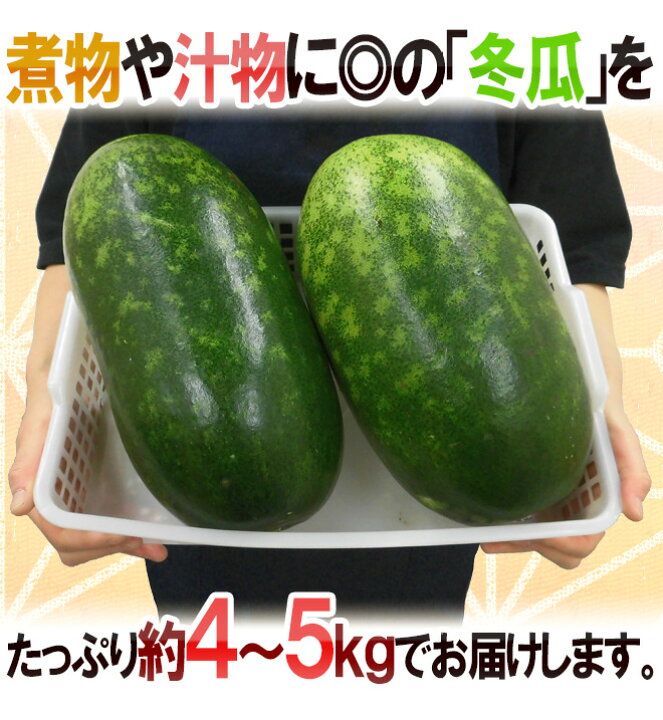 楽天市場 冬瓜 とうがん 1 3玉前後 約4 5kg トウガン 加茂瓜 予約 入荷次第発送 送料無料 くらし快援隊 お中元お歳暮ギフト
