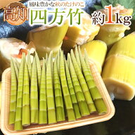 ”高知産 四方竹” 秀品 S/M/L 約1kg たけのこ【予約 10月以降】 送料無料