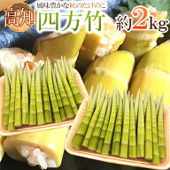 ”高知産 四方竹” 秀品 S/M/L 約2kg たけのこ【予約 10月以降】 送料無料