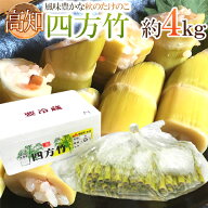 高知産 ”四方竹” 秀品 S/M/L 約4kg たけのこ【予約 10月以降】 送料無料