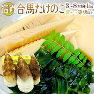 福岡 合馬産 ”たけのこ” 3〜8本 約4kg 化粧箱 最高等級 黄テープ限定【予約 3月下旬以降】 送料無料