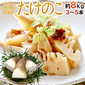 ”新たけのこ” 秀品 超特大 3〜5本 約8kg以上 国内産（九州・四国）【予約 4月以降】 送料無料
