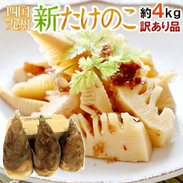 【送料無料】”新たけのこ” 訳あり 約4kg 大きさおまかせ 西日本産（九州・四国）【予約 3月下旬?4月】｜ROOM - 欲しい! に出会える。