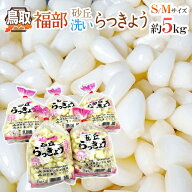 洗いらっきょう 鳥取 JAいなば 福部産 ”砂丘らっきょう” S/Mサイズ 約5kg【予約 6月中旬以降】 送料無料