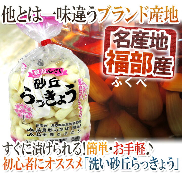 楽天市場】洗いらっきょう 鳥取 JAいなば 福部産 ”砂丘らっきょう” S/M 