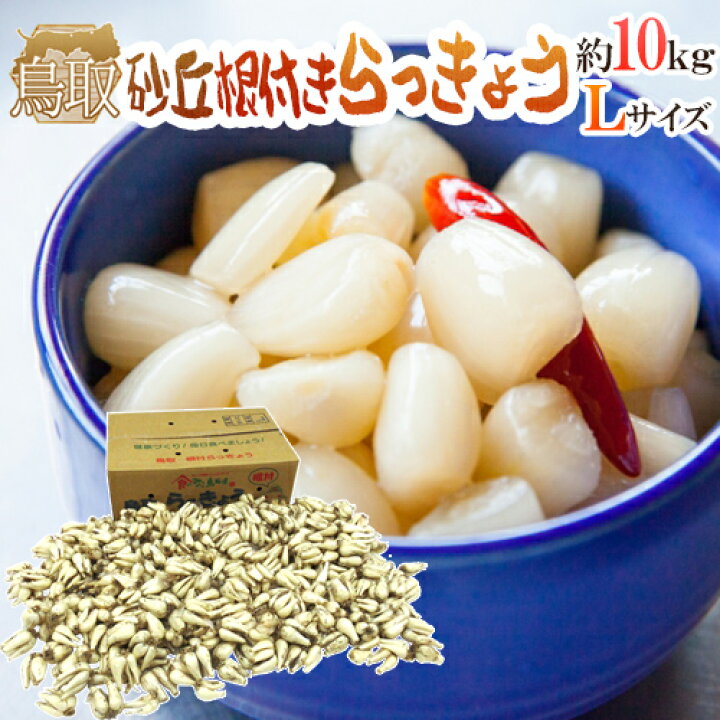 楽天市場】土らっきょう 鳥取産 ”砂丘らっきょう” 秀品 Lサイズ 約10kg 
